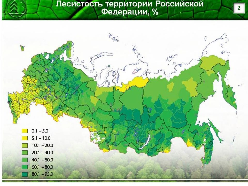 Что такое лесистость территории. Карта лесов РФ. Карта лесов России подробная. Лесистость территории России. Лесные ресурсы России карта.