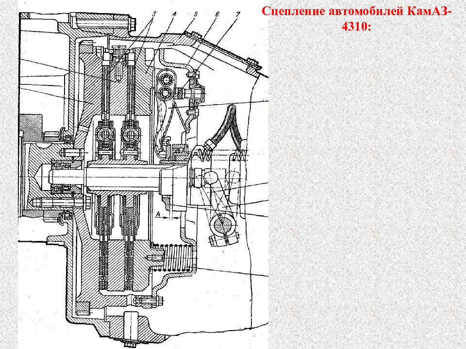 Сцепление камаз 4310 схема