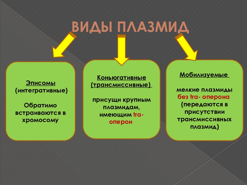 Плазмиды форма. Плазмиды виды. Типы бактериальных плазмид. Плазмиды и эписомы. Плазмиды бактерий виды.