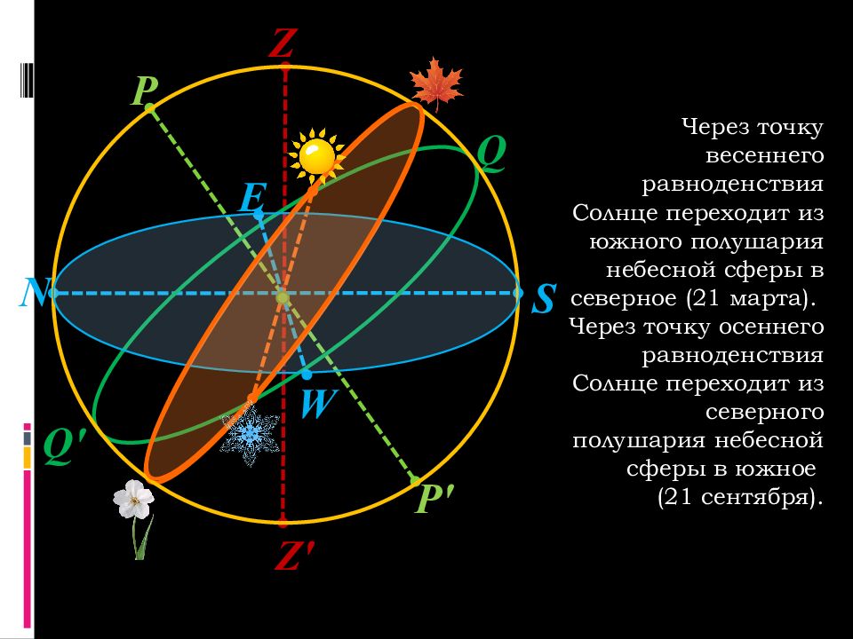 Укажите точки небесной сферы