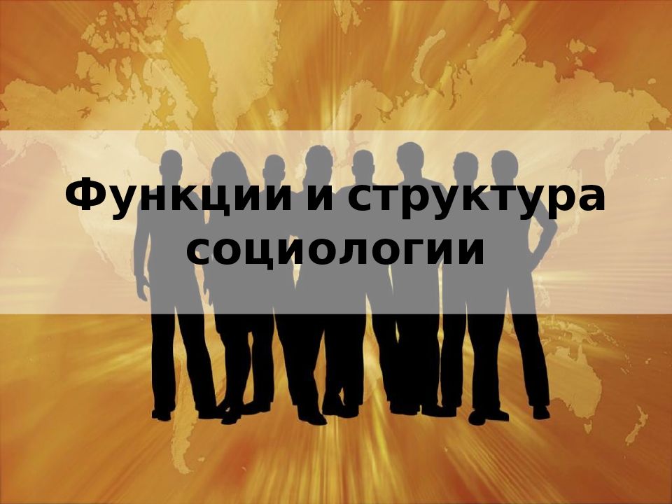 Функции и структура социологии