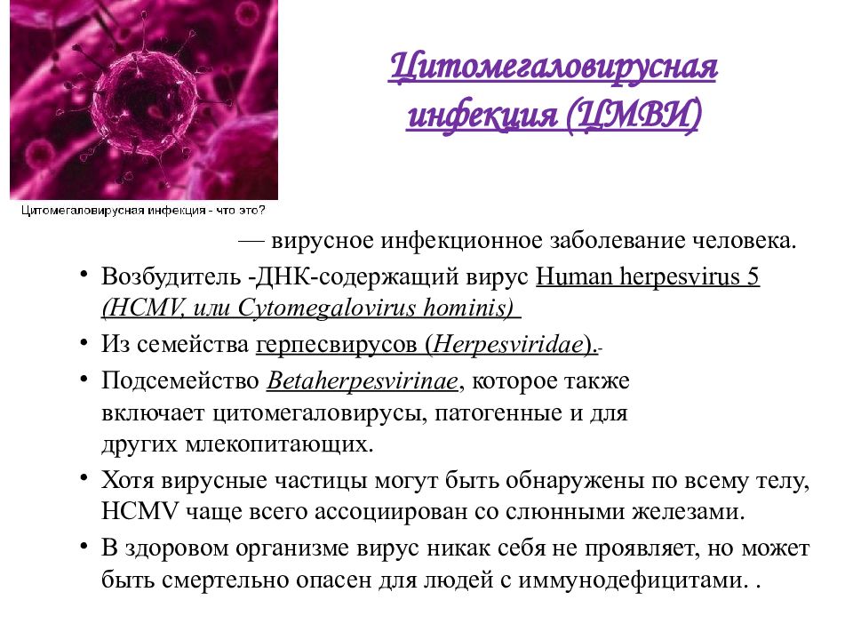 Цитомегаловирусная инфекция презентация