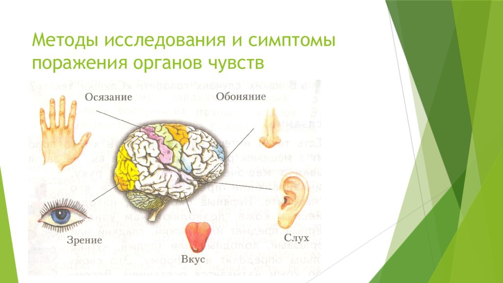 Какой орган поражает. Методы исследования органов чувство. Поражение органов чувств. Исследование органов чувств.