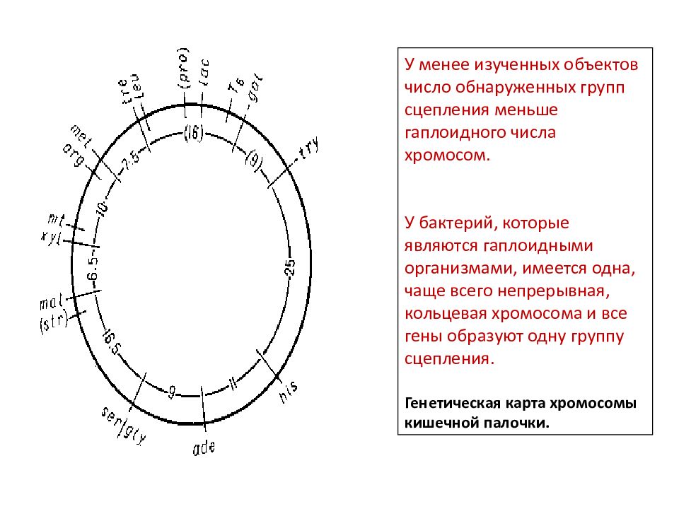 Правила картирования народная карта