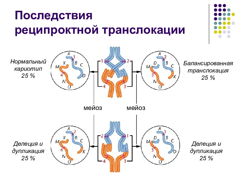 Мутации и мутагены презентация