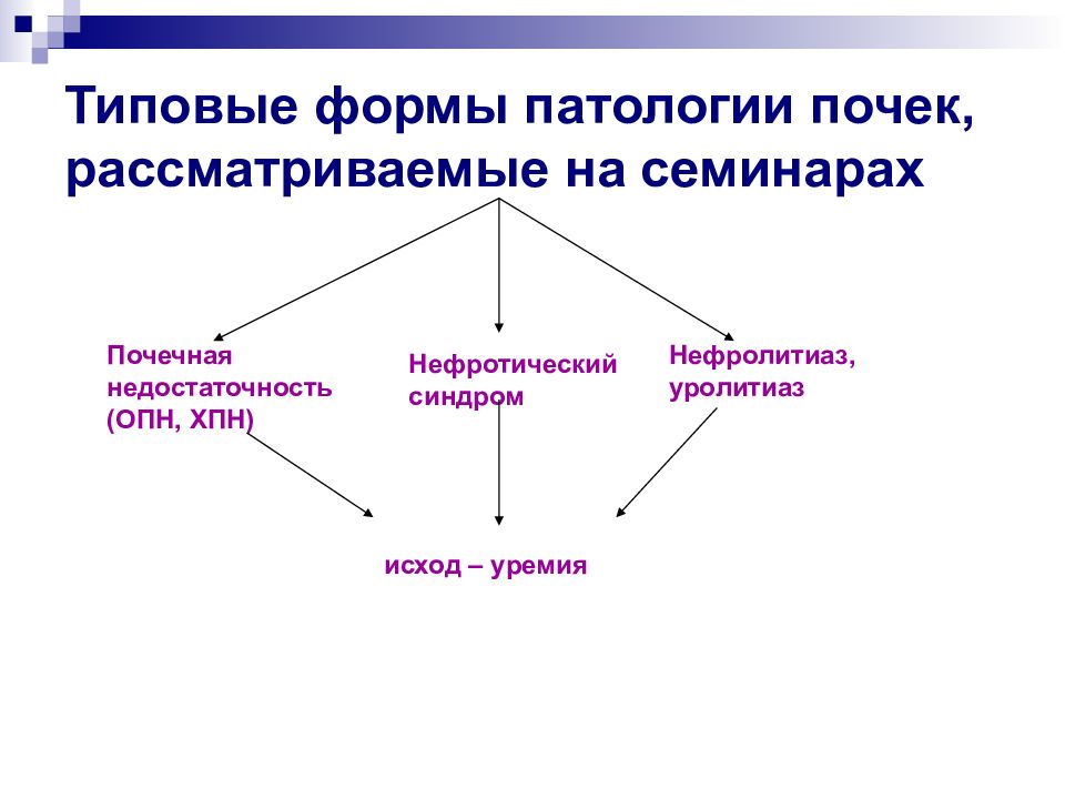 Патофизиология почек презентация