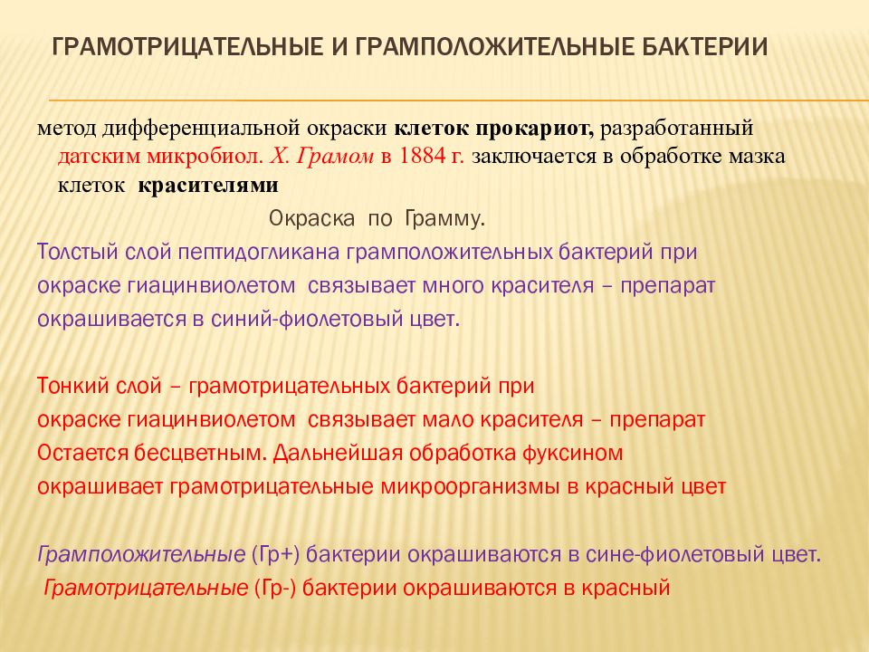 Грамм положительные. Грамположительные и грамотрицательные бактерии. Грамположительные и грамотрицательные бактерии отличия. Грамположительные бактерии и грамотрицательные бактерии. Грамотрицательные бактерии окрашиваются.