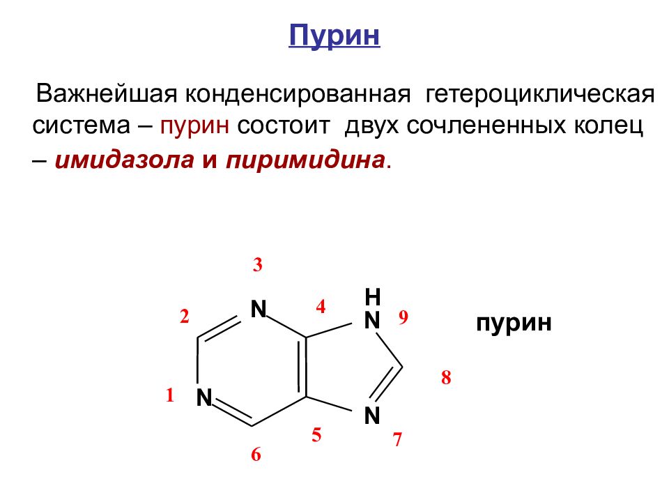 Структура пурина