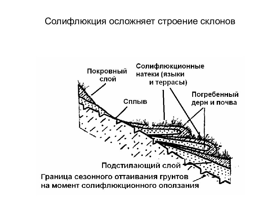 Деятельный слой. Солифлюкционные террасы схема. Солифлюкционные формы рельефа. Склоновые процессы и формы рельефа. Дефлюкционные склоны схема.