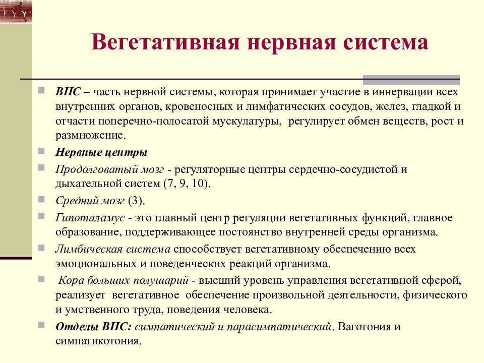 Анатомо физиологические основы мышечной деятельности презентация