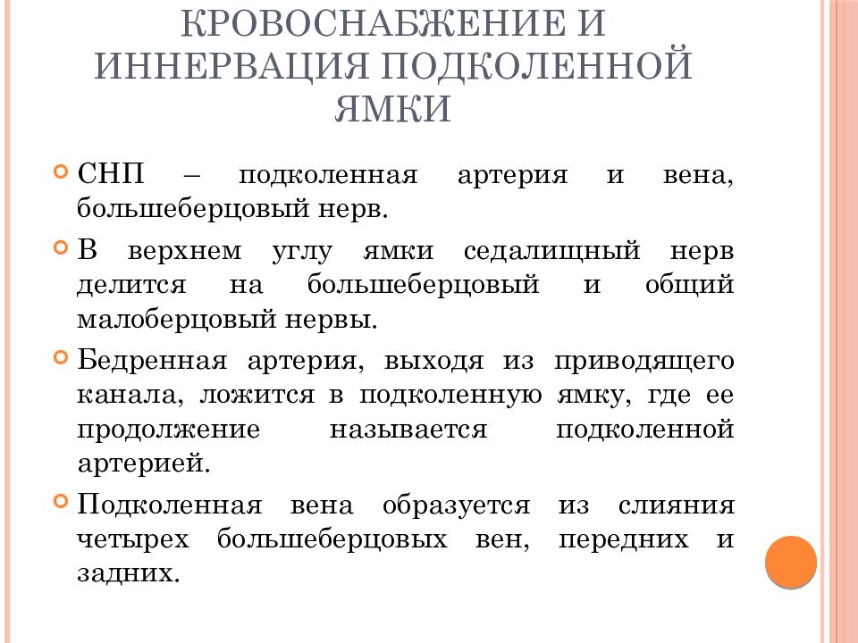 Топографическая анатомия нижней конечности презентация