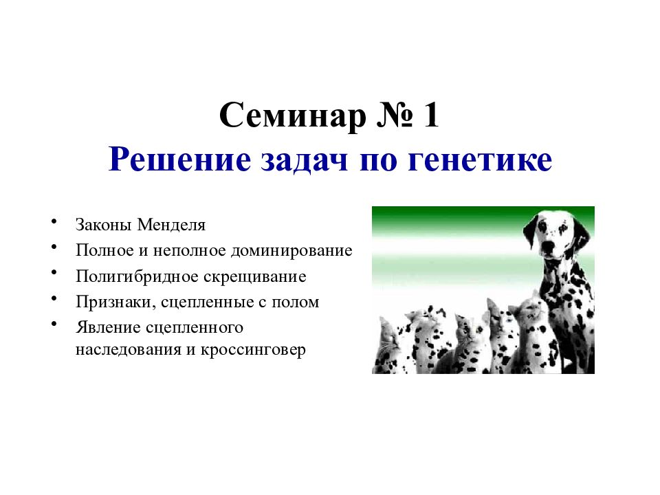 Семинар № 1 Решение задач по генетике