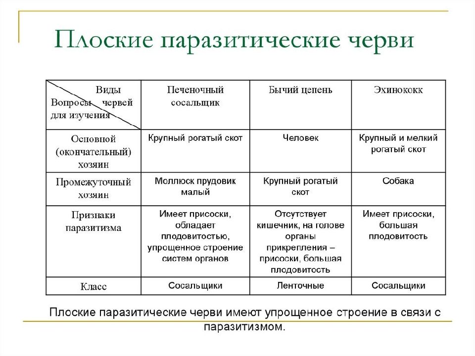 Паразитические черви презентация