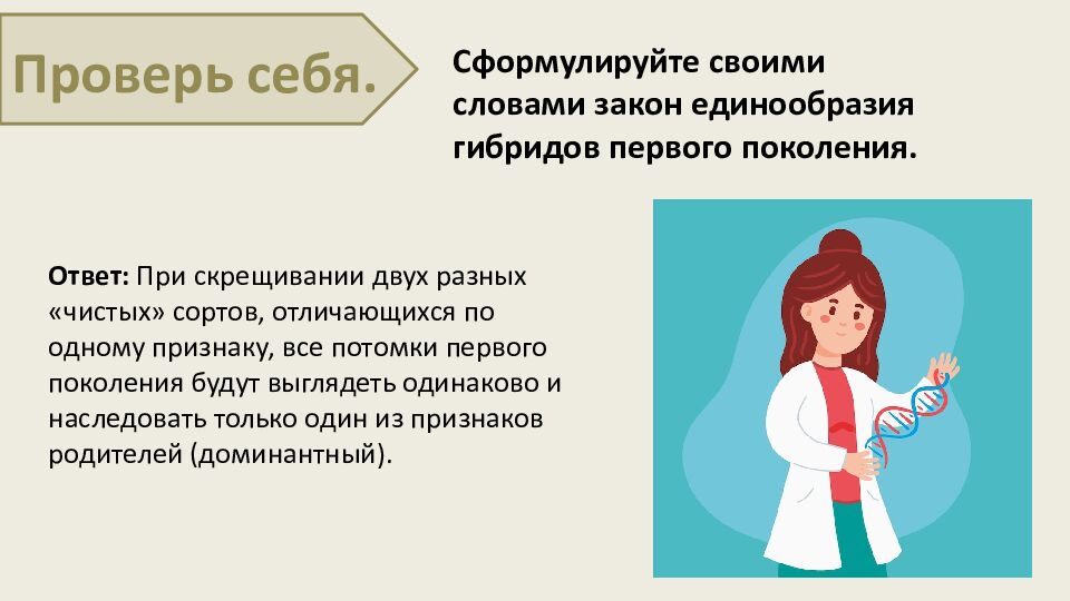 Закономерности наследования признаков. Моногибридное скрещивание