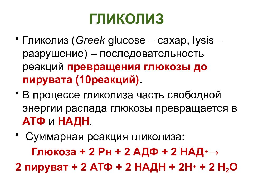УГЛЕВОДЫ: функции и обмен ГЛИКОЛИЗ