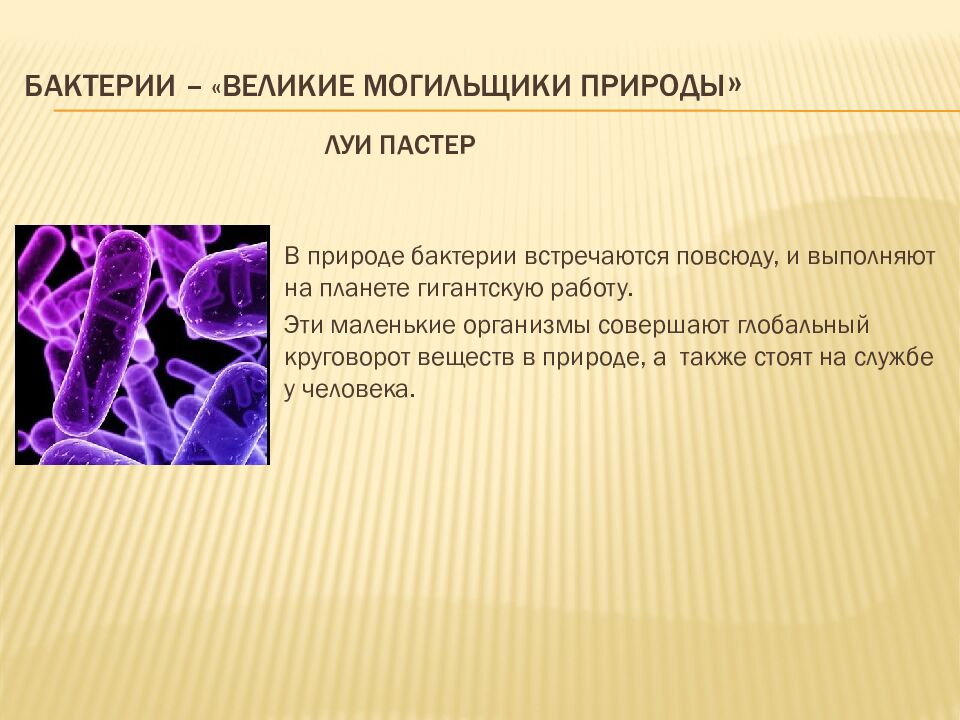 Бактерии – « великие могильщики природы » Луи Пастер