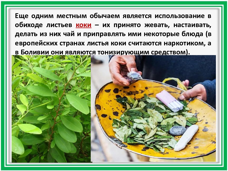 Чай Из Листьев Коки Купить