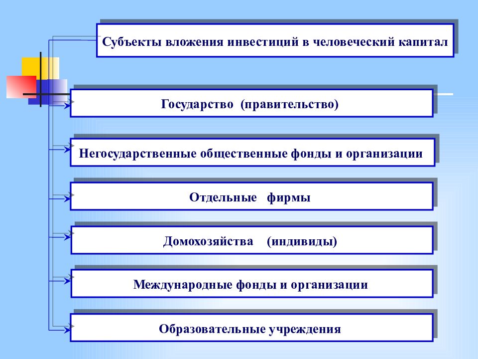 Инвестиции в человеческий капитал картинки