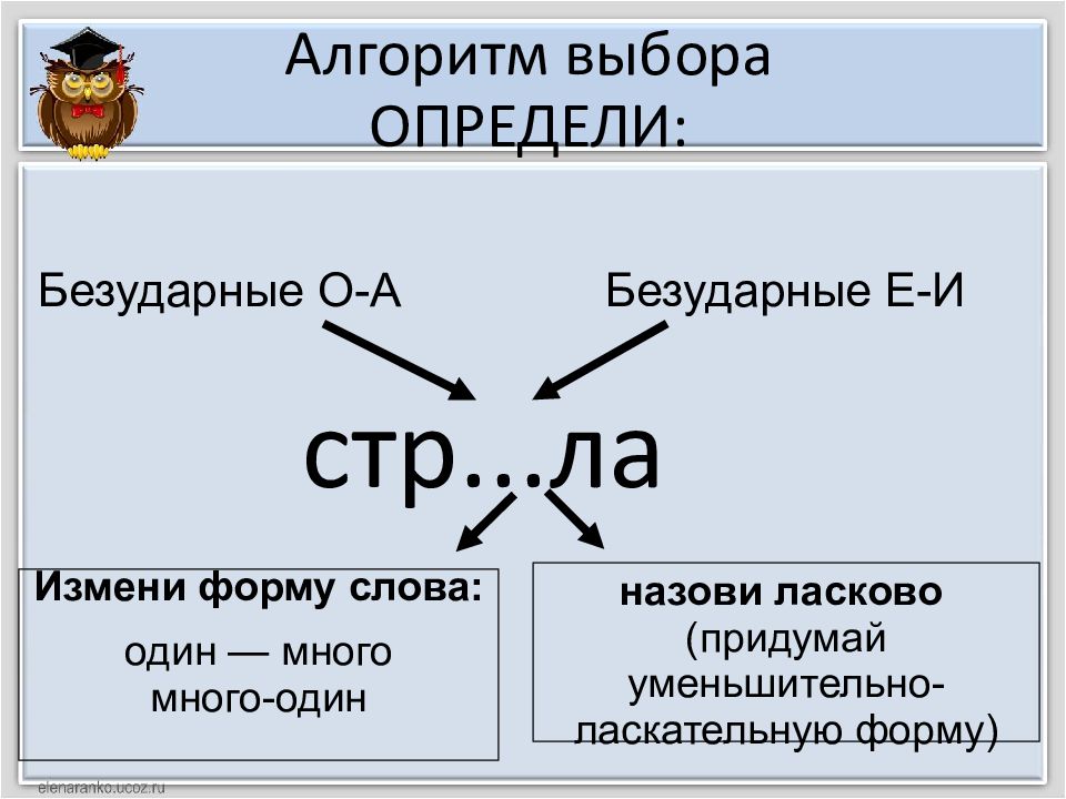 Определить выбор. Алгоритм подбора проверочных слов. Безударная гласная один много. Алгоритм проверочные слова Зубкова.