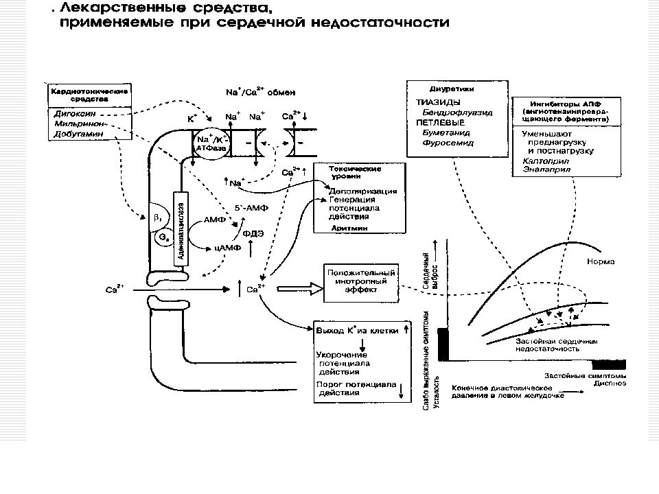 Иад 1 схема