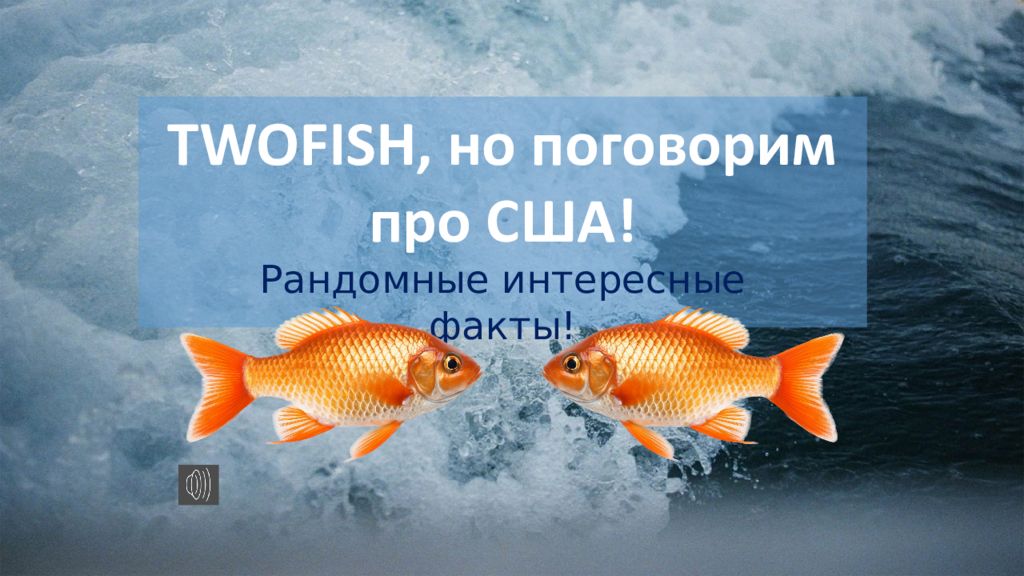 TWOFISH, но поговорим про США! Рандомные интересные факты!