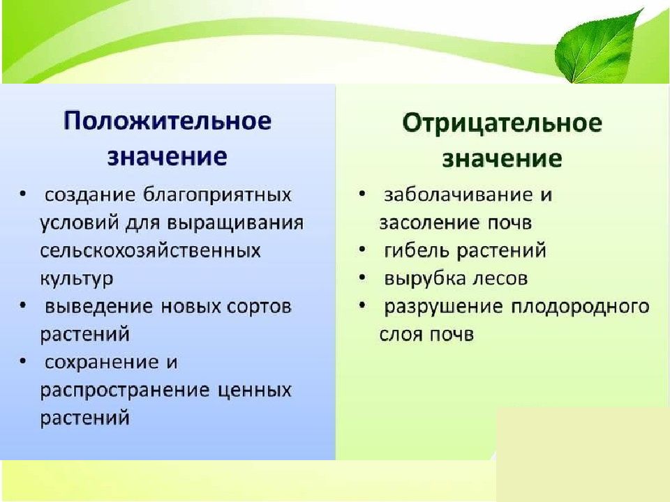 Презентация влияние экологических факторов на растения. Влияние экологических факторов на растения. Земные факторы жизни растений. Экологические факторы плюсы и минусы. Чтение положительно влияет на окружающую среду.