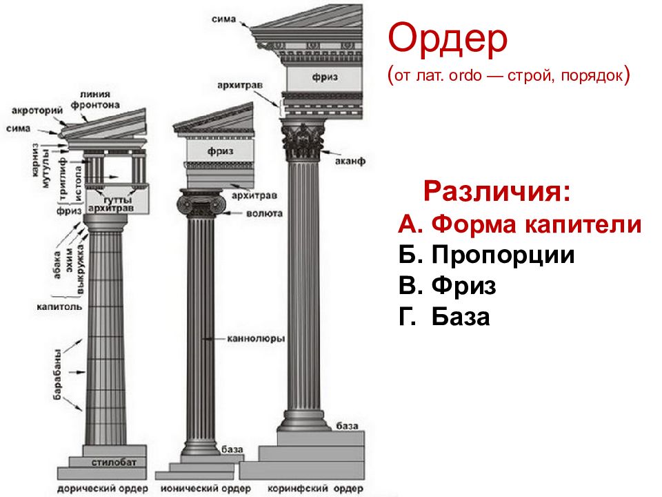 Ордерная схема и структура