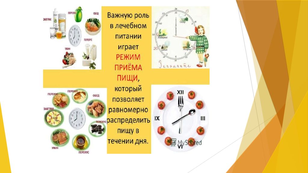 Основные принципы диетотерапии схема