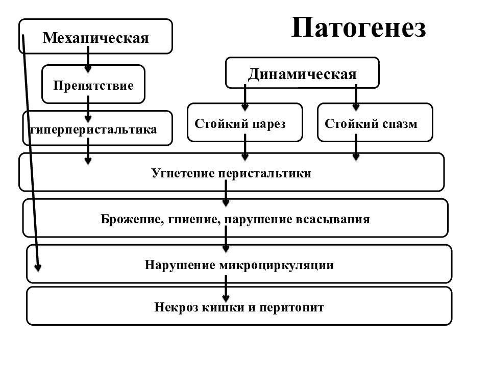 Кишечная непроходимость патофизиология презентация