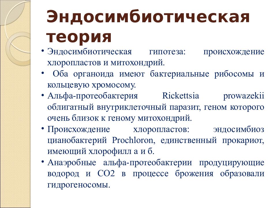 Происхождение это. Теория симбиогенеза. Теория возникновения жизни эндосимбиоз. Эндосимбиотическая теория происхождения эукариот. Теория эндосимбиотического происхождения хлоропластов.