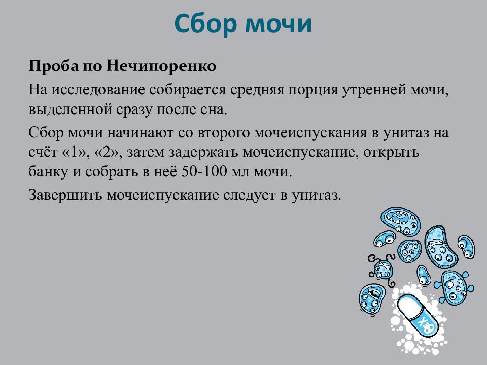 Как собрать анализ по нечипоренко