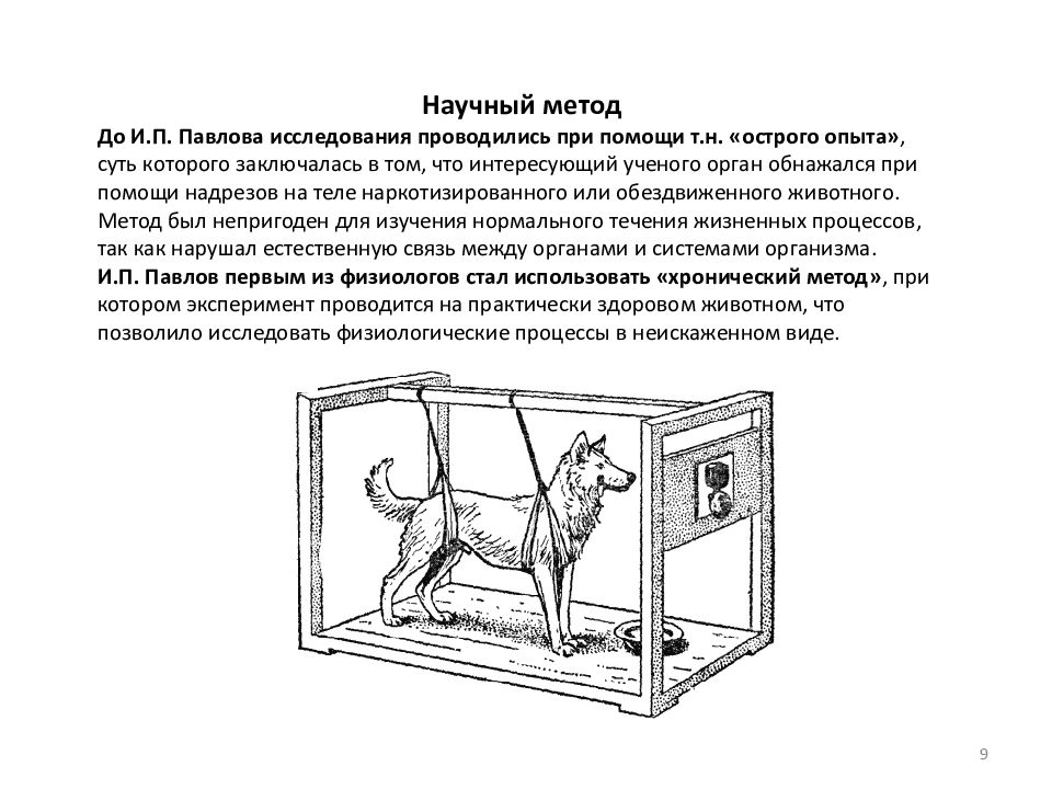 Презентация метод эксперимент