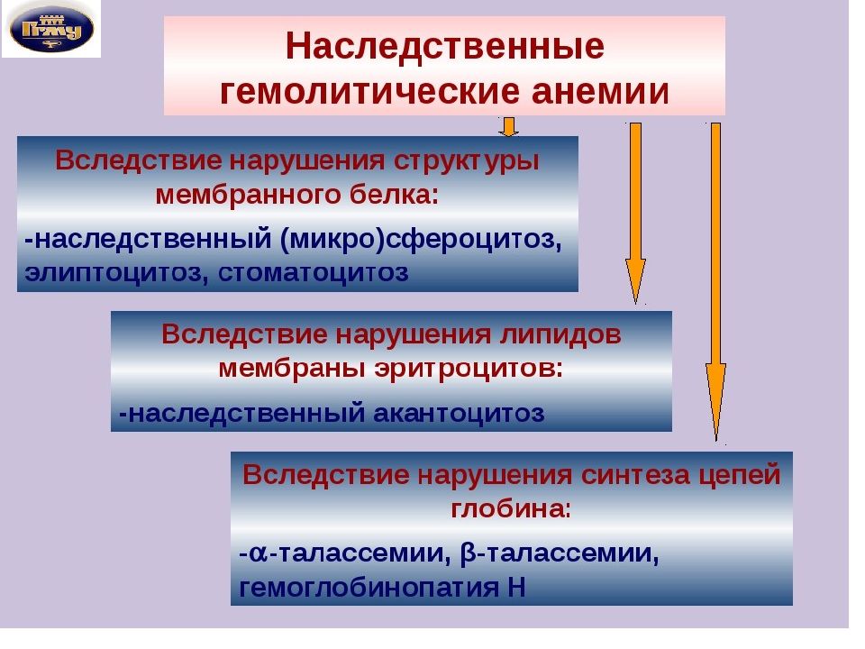 Гемолитические анемии клиническая картина