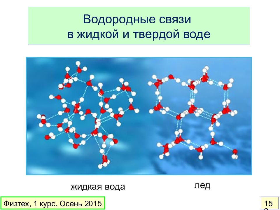Молекулы воды образуют связи