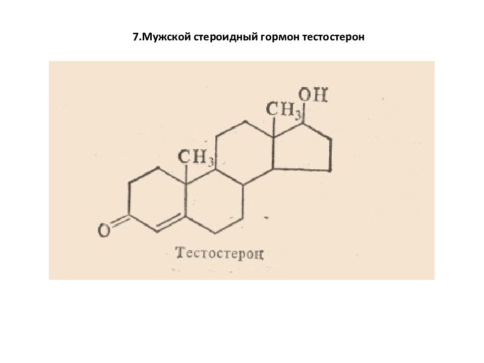 Гормон тестостерон презентация