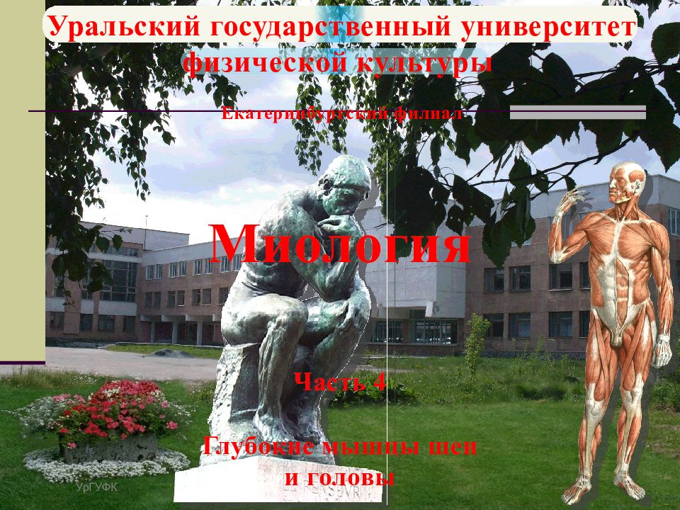 Миология Миология Часть 4 Глубокие мышцы шеи и головы Уральский государственный