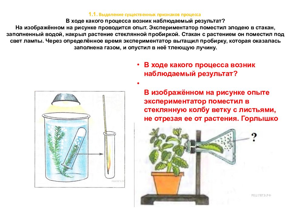 Объясните процесс изображенный на рисунке