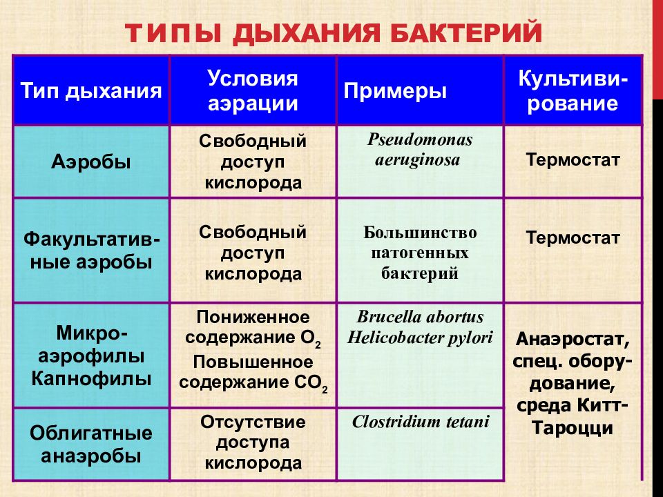 Общая вирусология презентация микробиология