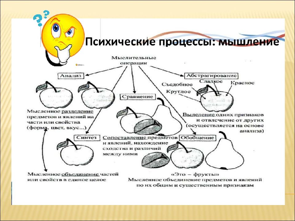 Психические познавательные процессы презентация