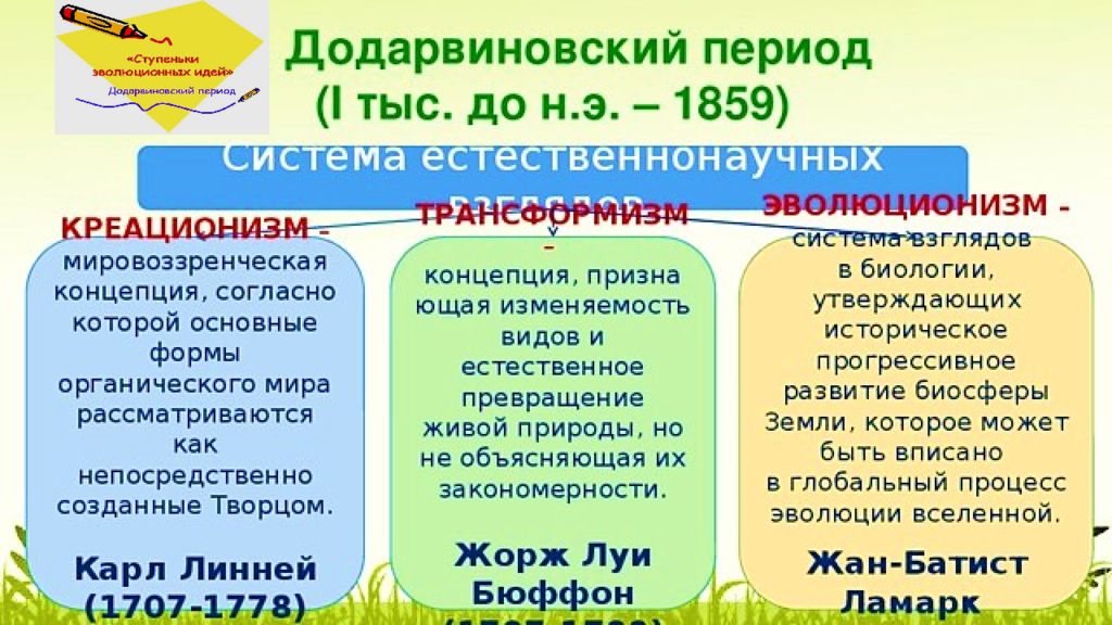 Современная система додарвиновской искусственной соответствует большей