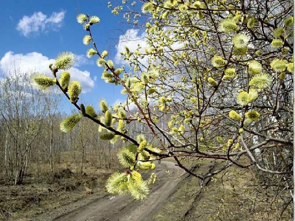 Как выглядит апрель