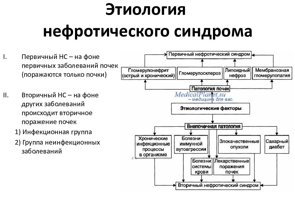 Схема обработки почек