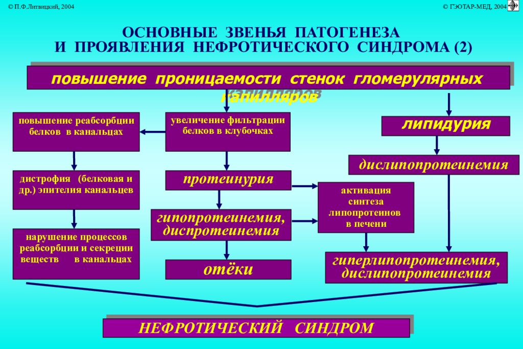 Нефротический синдром патофизиология презентация