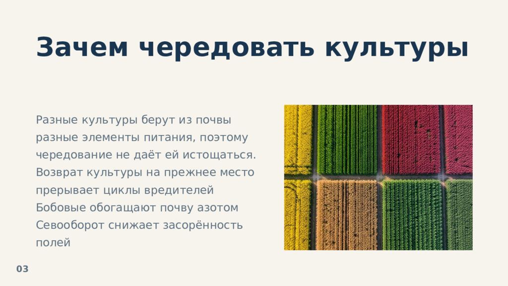 Севообороты: принципы и польза