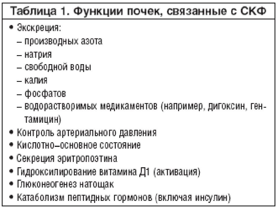 Что значит кк. СКФ функция почек. Дополнительные функции почек. Контроль функции почек анализы. Функции почек  связанные с натрием.