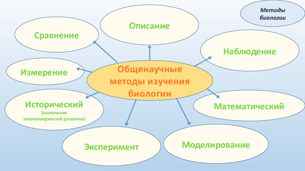 Методы изучения природы описание 5 класс биология. Методы биологических исследований схема. Методы изучения биологии схема. Методы биологических наук 10 класс. Методы биологической науки схема.