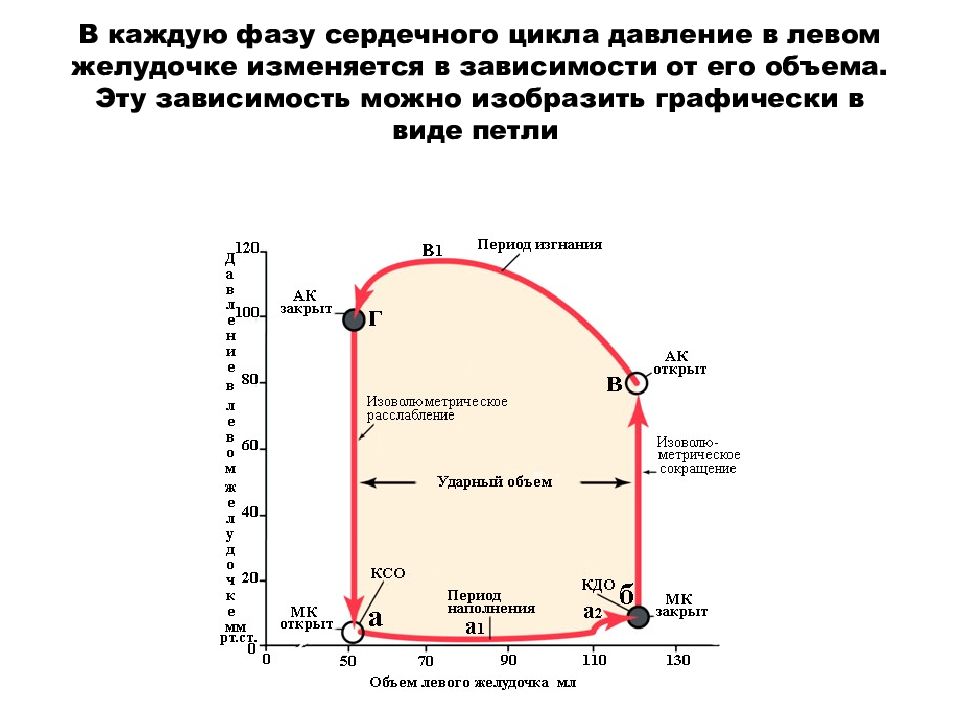 Диаграмма давления и объема крови для желудочков сердца