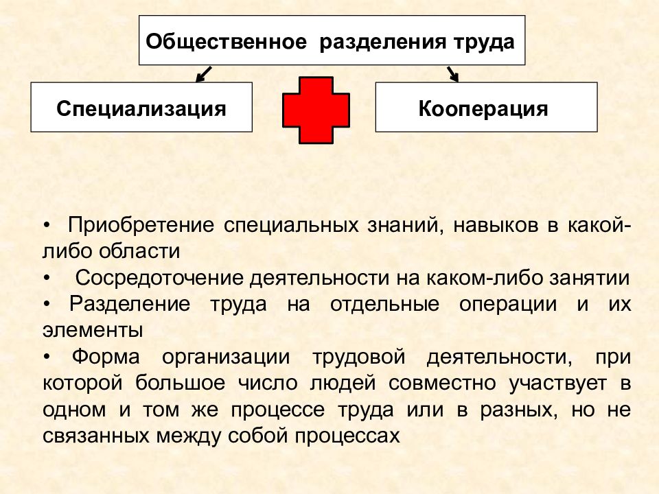 Условия разделения труда. Общественное Разделение труда специализация. Общественное разделеник руда мпецили зация и. Общественное Разделение труда специализация и кооперация. Производительность труда. Разделение труда и специализации..