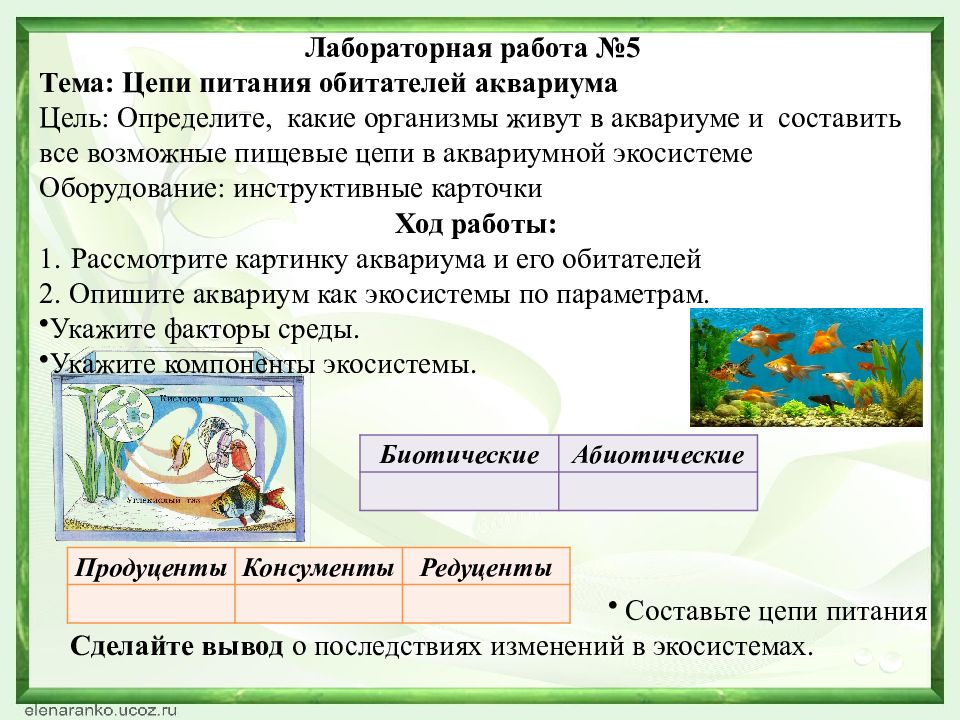 Определите какие организмы живут в аквариуме