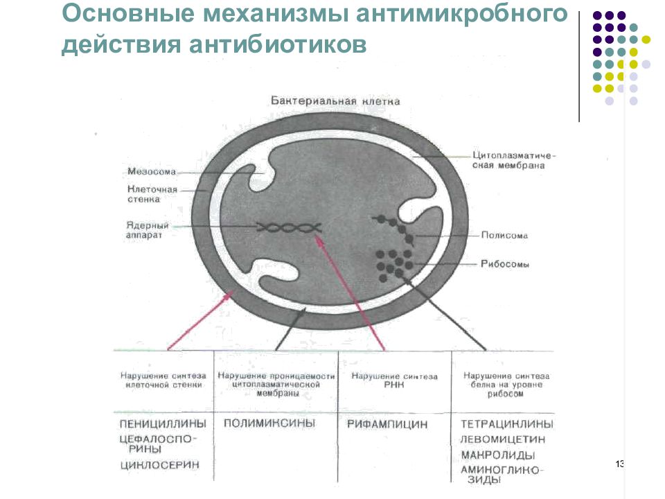 Механизмы антибиотиков. Антибиотики по механизму действия схема. Охарактеризуйте механизм действия антибиотиков. Классификация антибиотиков по механизму действия мишени. Механизмы противомикробного действия антибиотиков.